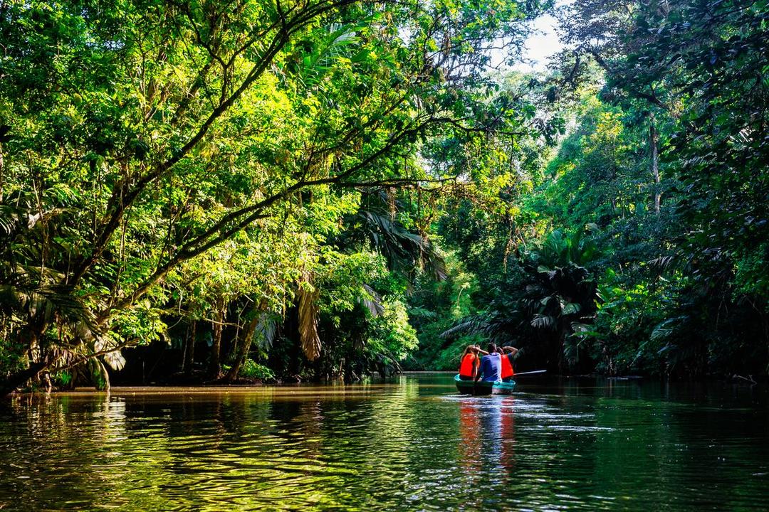 Tortugueroimage - 0
